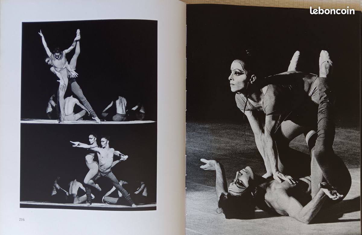 Livre d'art sur "Danser le XX è siècle" (image 8)