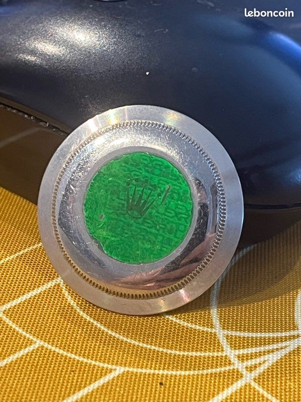 Fond de montre à clipser holograme dans l’état (image 1)