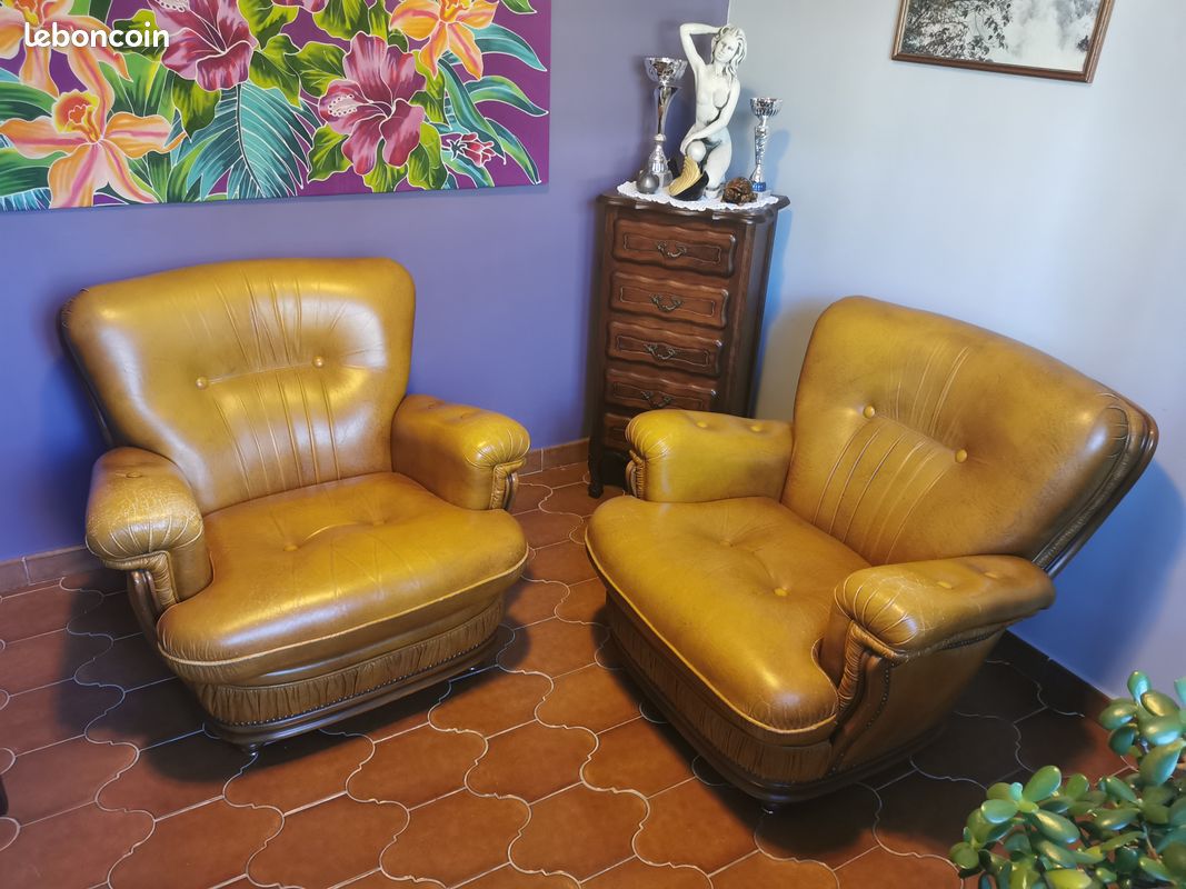 2 Fauteuils cuir (image 1)