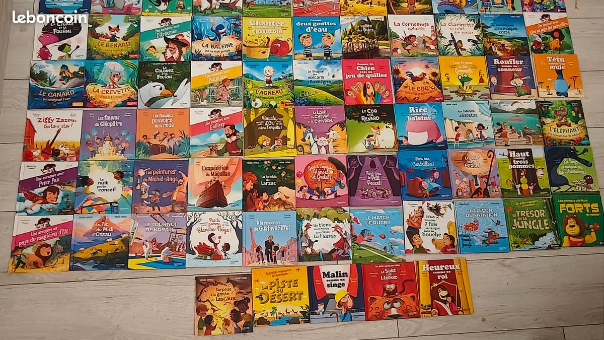 Gros livres Mc Donald's (image 6)