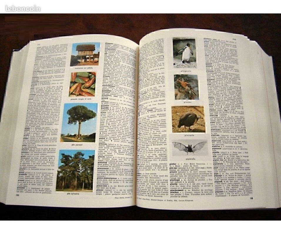 MESLIVRES - Livres - Dictionnaire/Anglais/Guide/Voyage/livres C_815 (image 4)