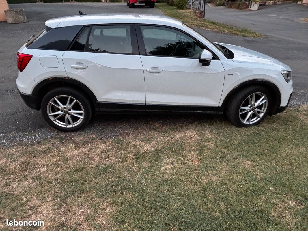 Audi Q2 (image 1)