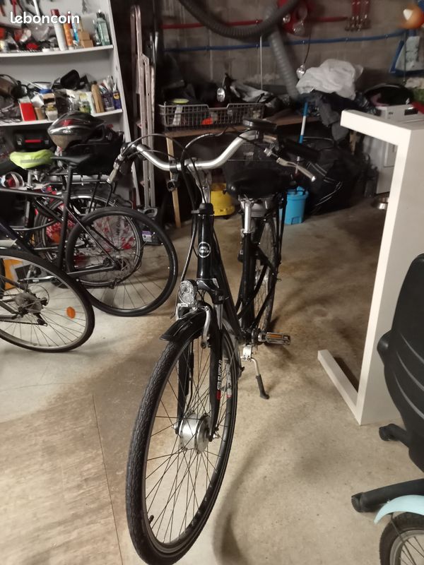 Vélo électrique arcade E-Cardan (image 1)