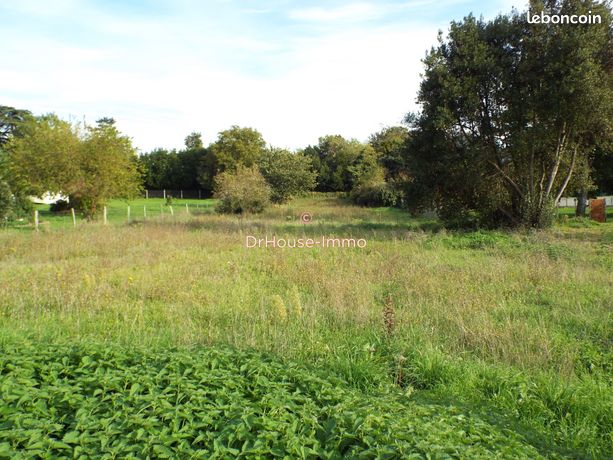 Terrain 2104 m² bois