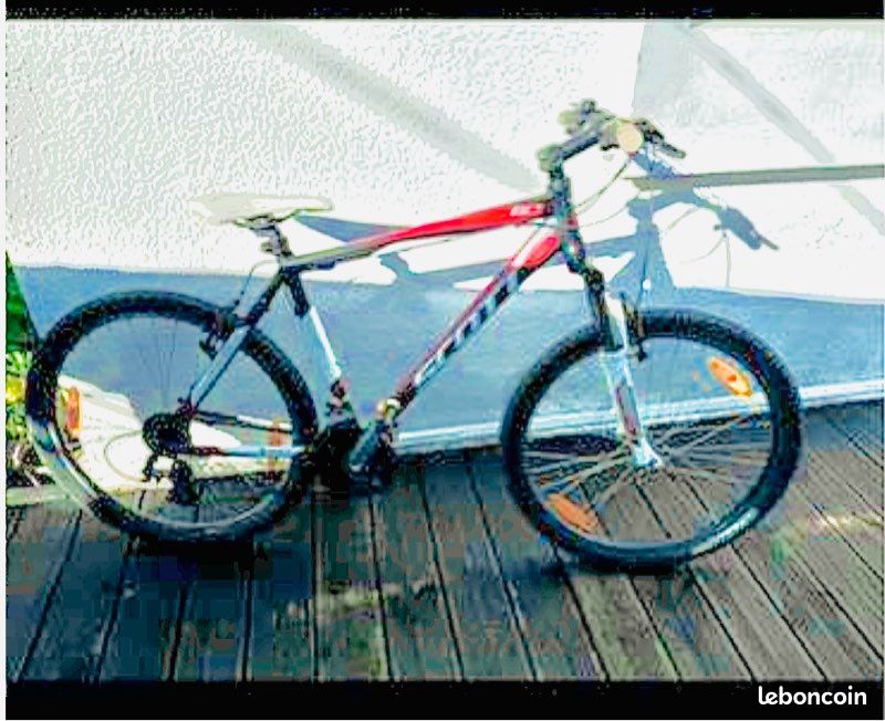 Vélo homme 350 et femme 150 (image 1)