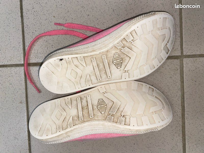 Palladium rose (image 2)