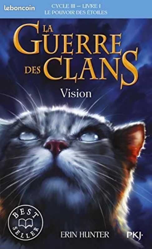 La guerre des clans - Cycle 3 - Livre 1 : Vision (image 1)