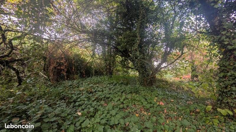 Terrain 408 m² Pressins · 56 000 €