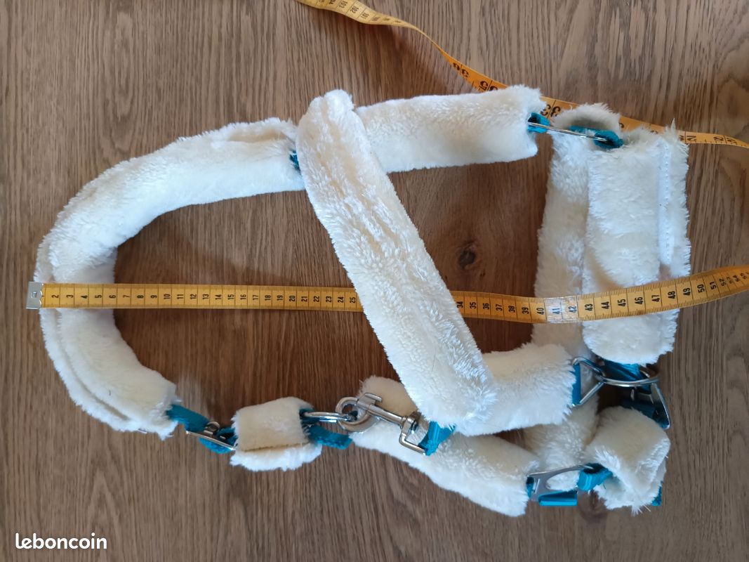 Licol taille Pony et longe équitation (image 3)