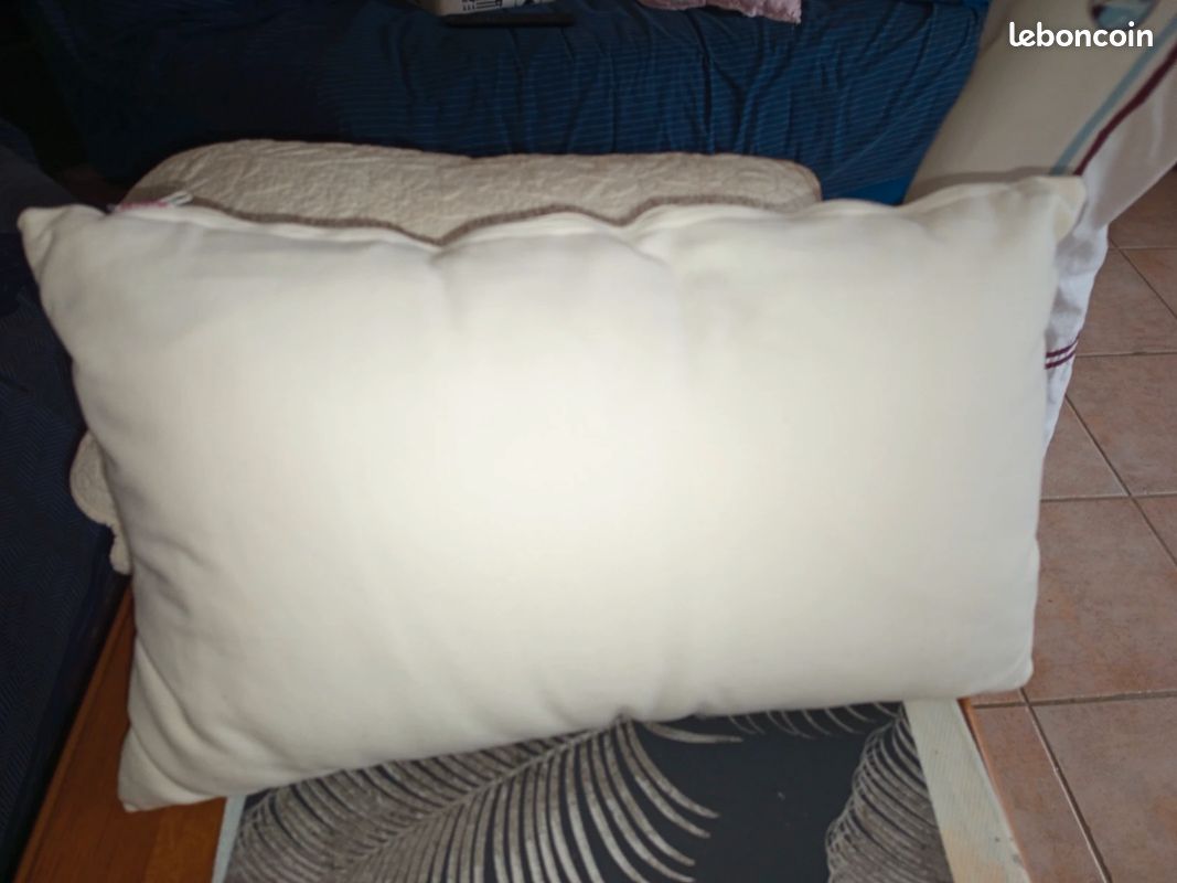 Lot de 2 coussins de canapé (image 4)