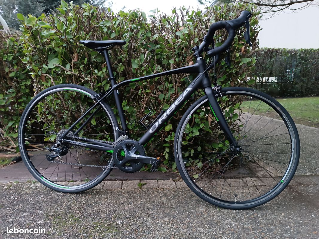 Avant H60 Orbea Avant 2021 Review Orbea Avant H60 2023 Blu-tit Mammoth