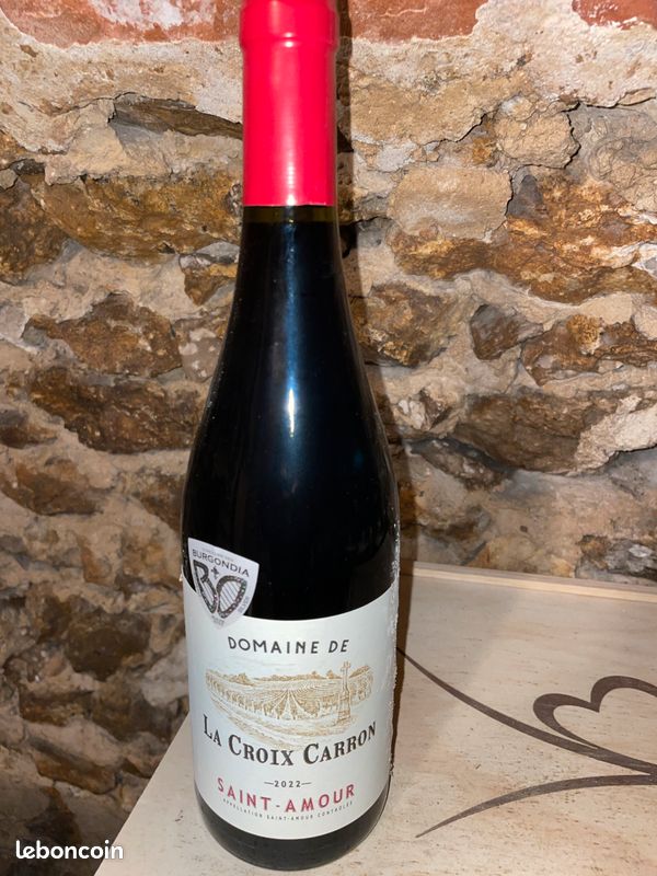 Vin Beaujolais - SAINT-AMOUR - 2022 - DOMAINE DE LA CROIX CARRON (image 1)