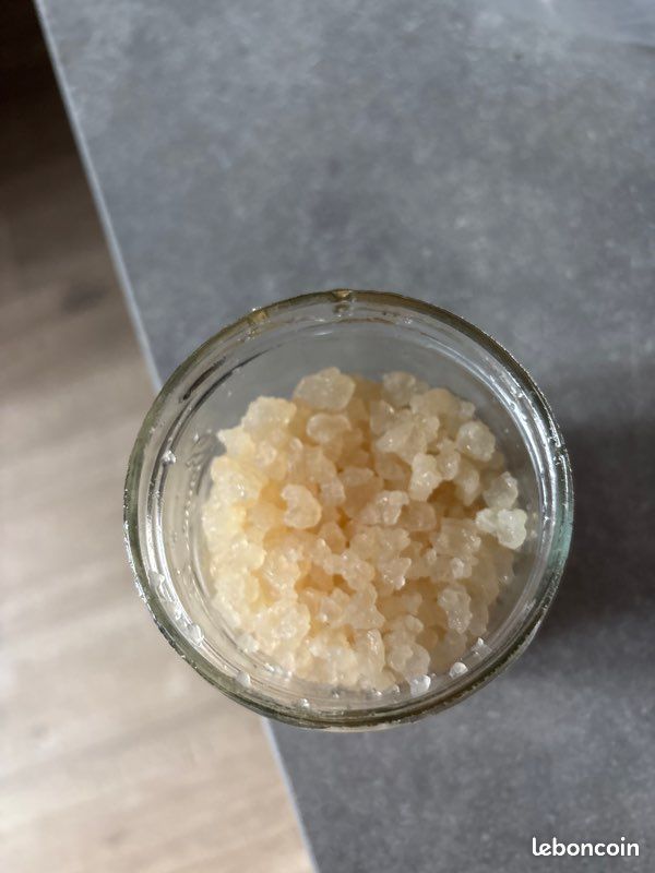Graine de Kefir de fruits (image 1)