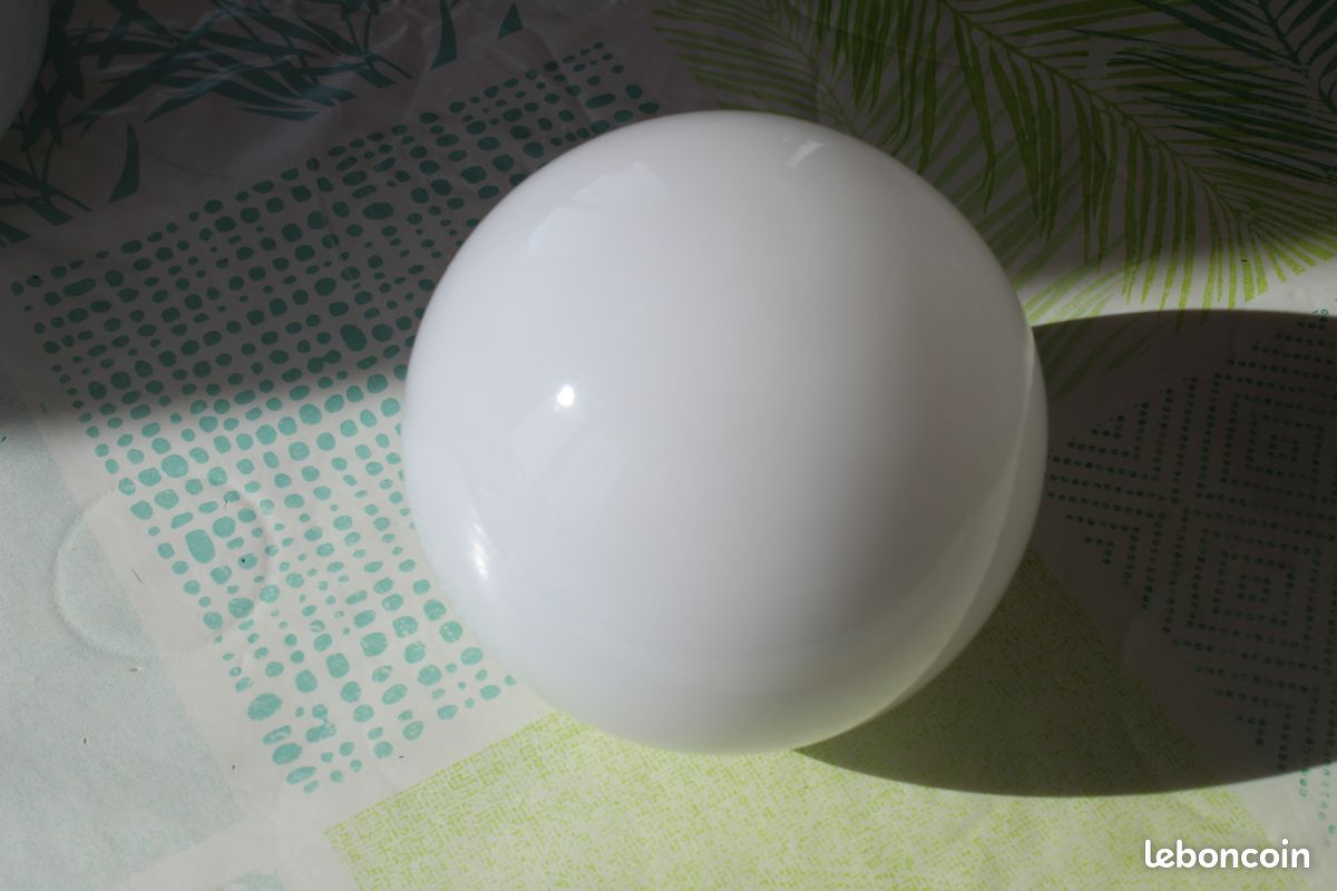 Applique globe (image 2)