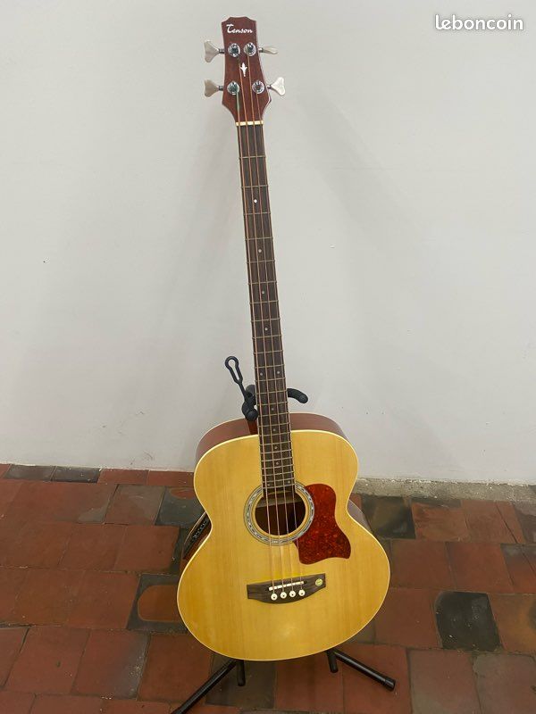 Basse électro-acoustique (image 1)