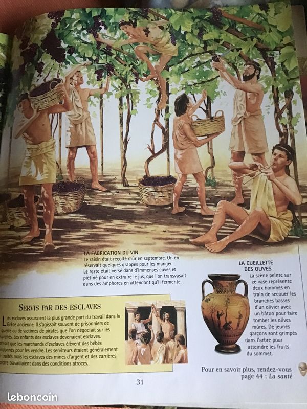 La Grèce ancienne (image 3)