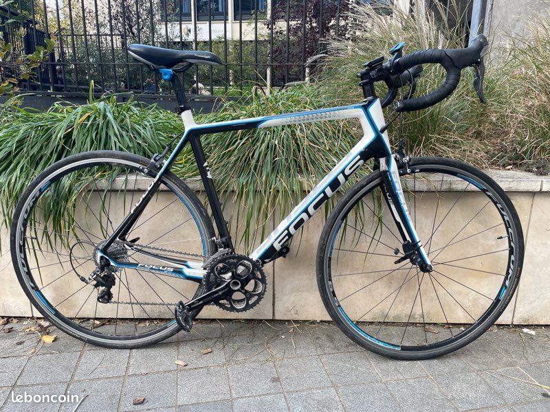 Vélo de route carbone - Focus Cayo evo (image 2)