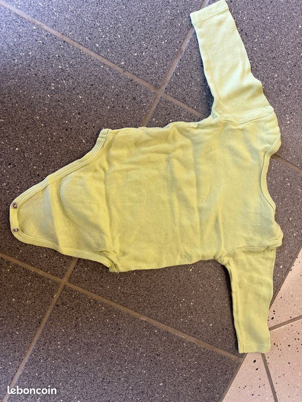Bodies (image 5)