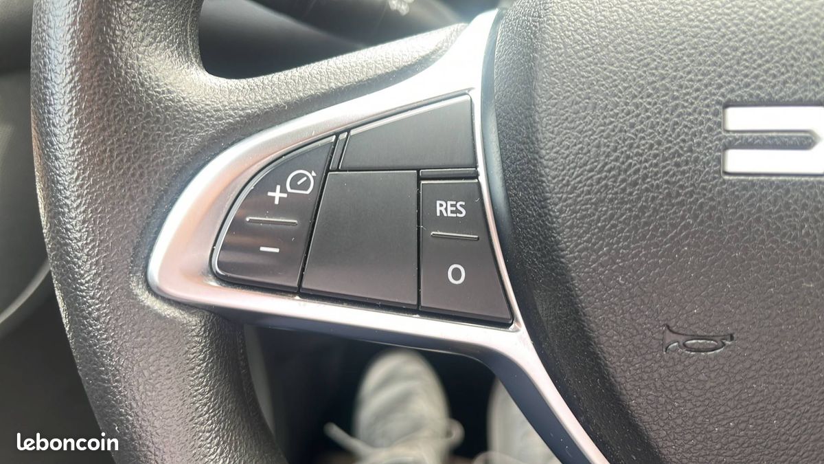 Dacia spring extreme (image 29)