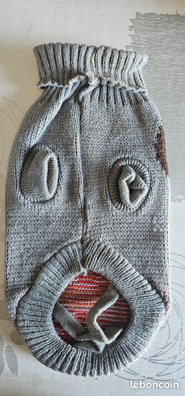 Pull chien (image 2)