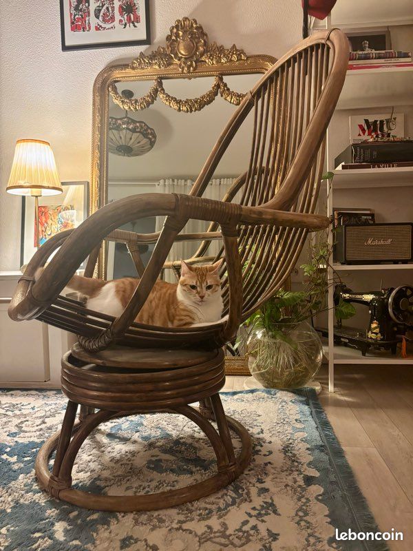 Superbe fauteuil pivotant vintage en rotin (Mannequin félin non inclus ) (image 2)