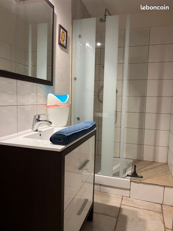 Maison avec piscine privative "Les Lézards" (jusqu'à 10 pers) (image 11)