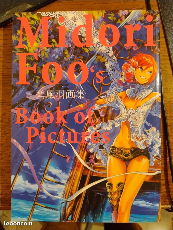 Artbook Midori Foo's Book of Pictures (image 1)