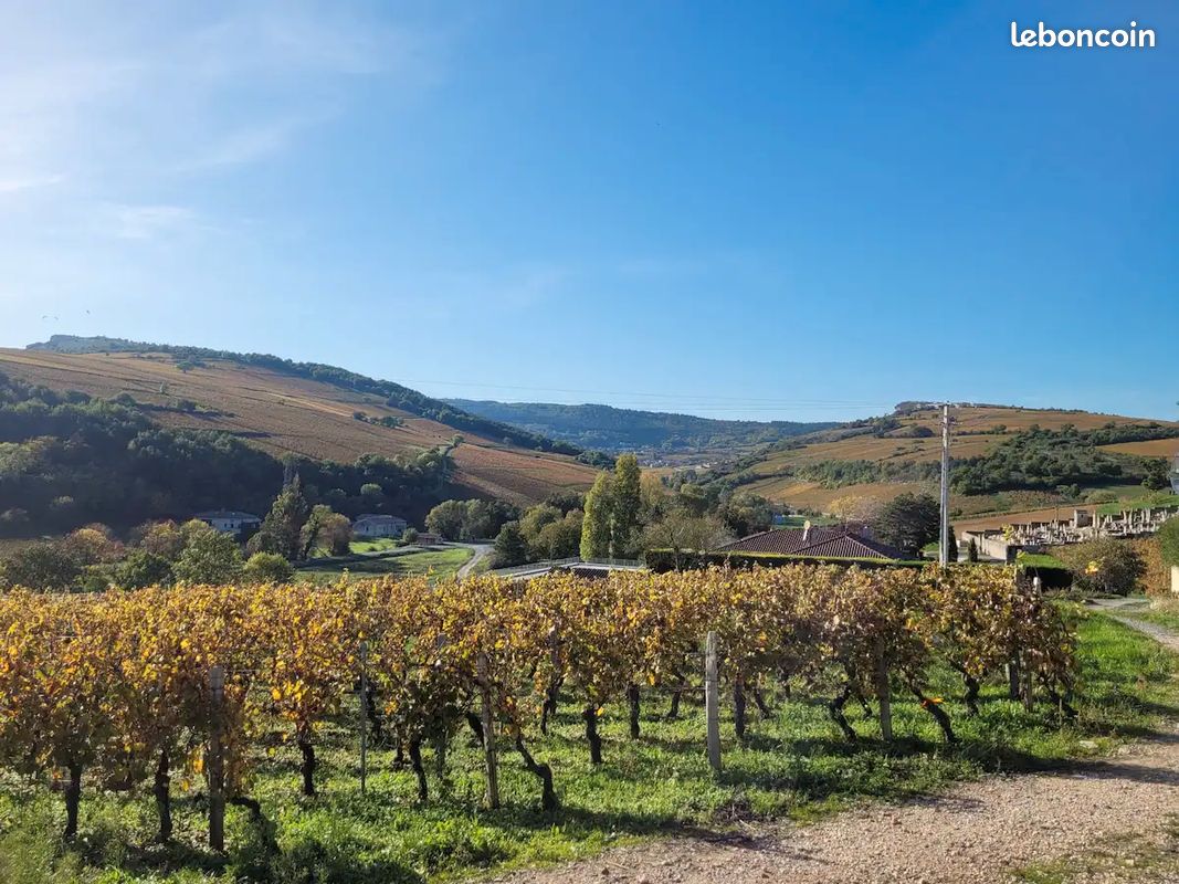 Maison au coeur des vignes (image 10)