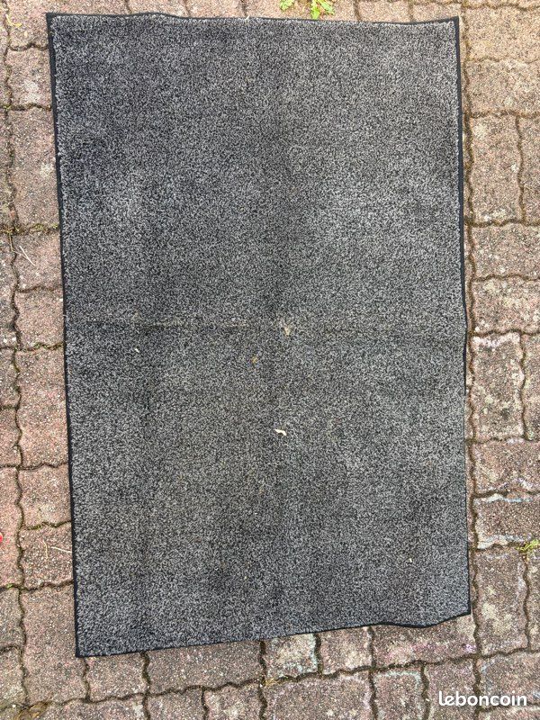 Très grand tapis entrée (image 1)