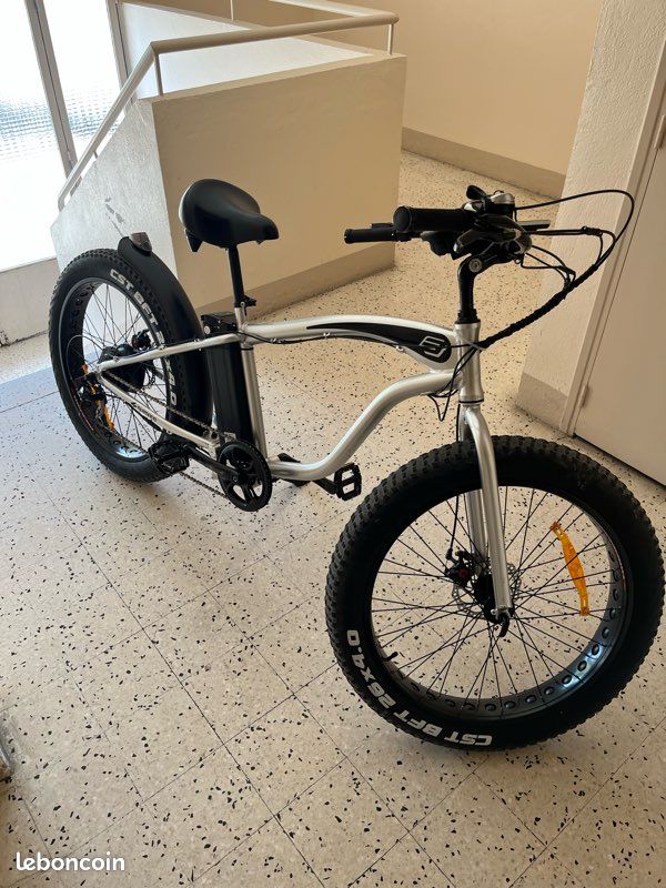 Le vélo électrique (image 1)
