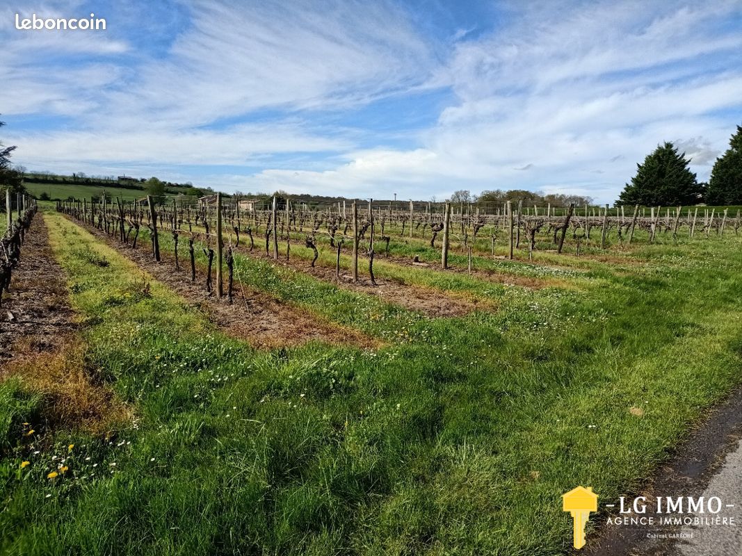 Terrain 9069 m² · à Saint-Ciers-du-Taillon · 9 069 m² · 69 000 €