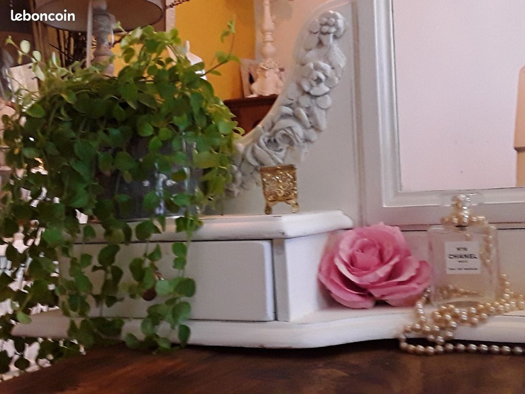 Coiffeuse (image 5)