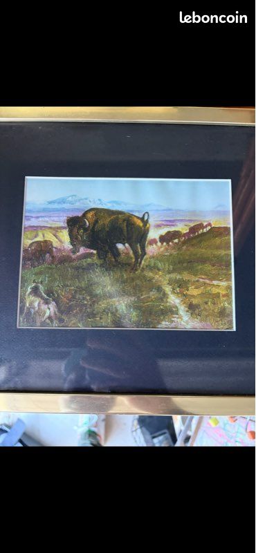 Cadres Western Buffalo Bill (image 13)