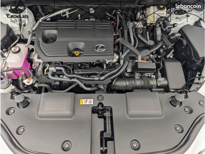 Lexus NX 350H 2WD Luxe (image 16)