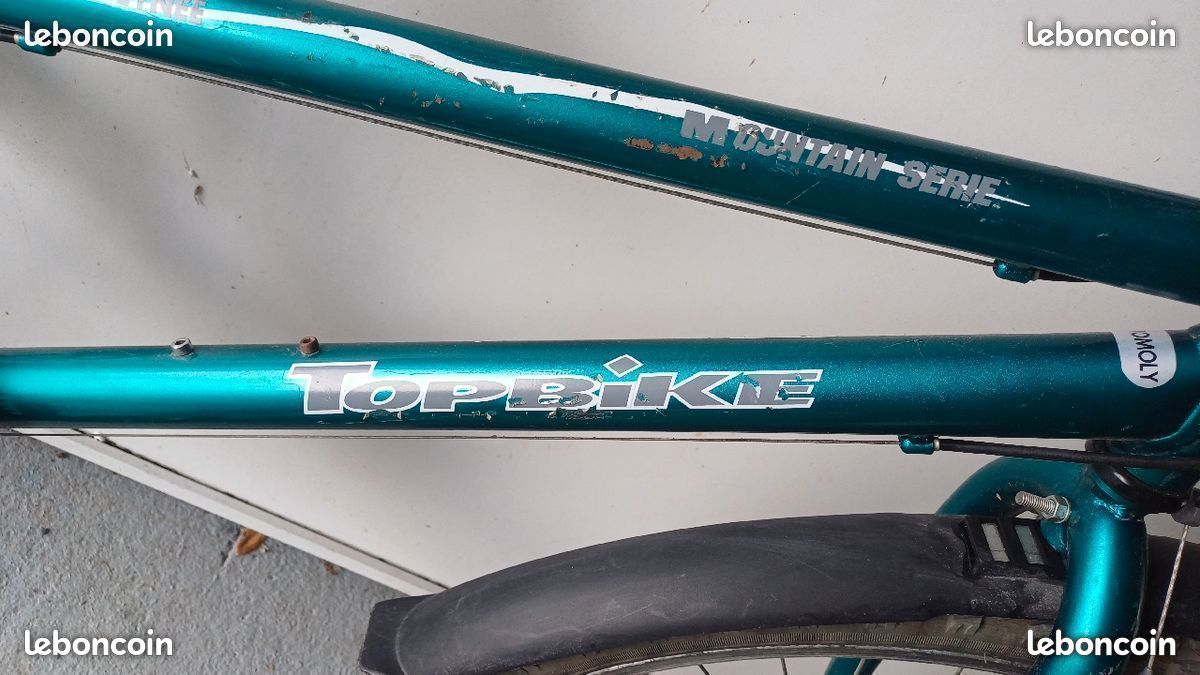 Vélo 21'' bleu marque topbike série Mountain VTT (image 2)