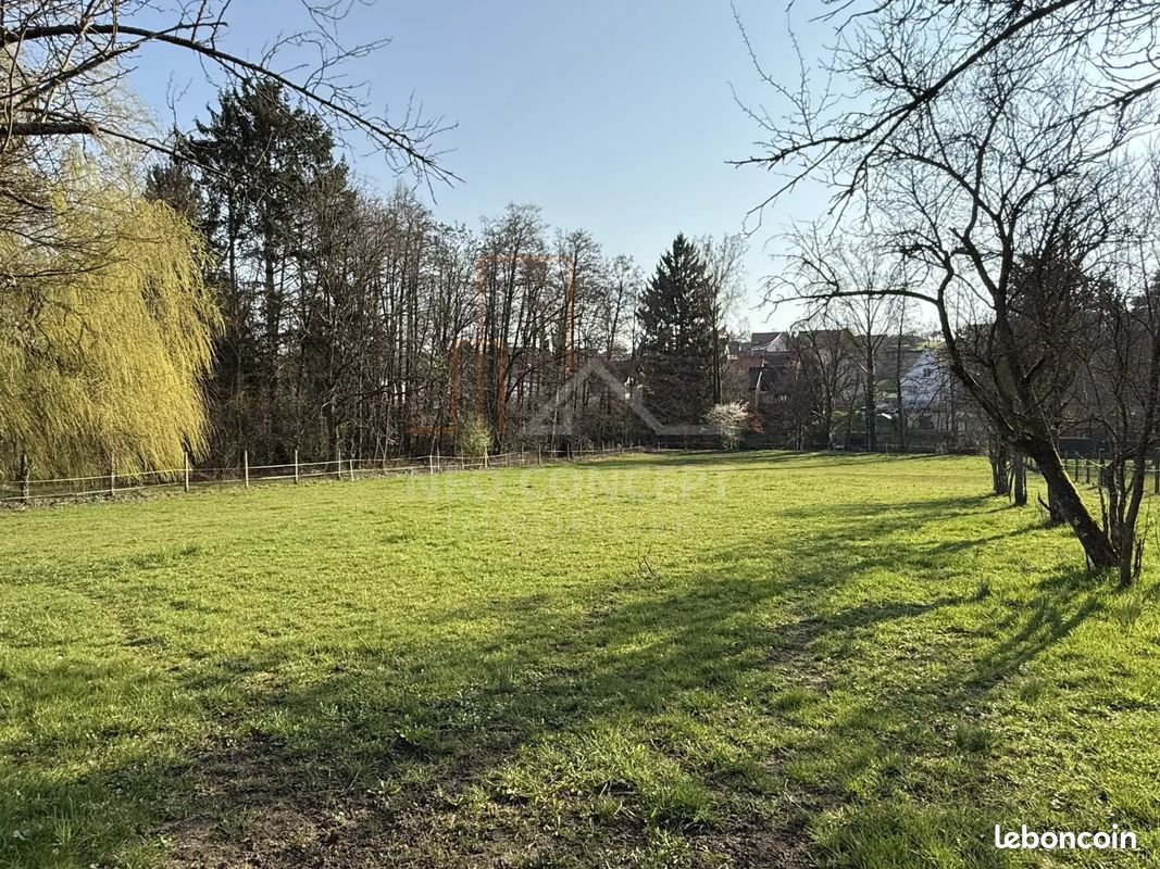 Terrain 8772 m² · à Oberbronn · 8 772 m² · 370 000 €