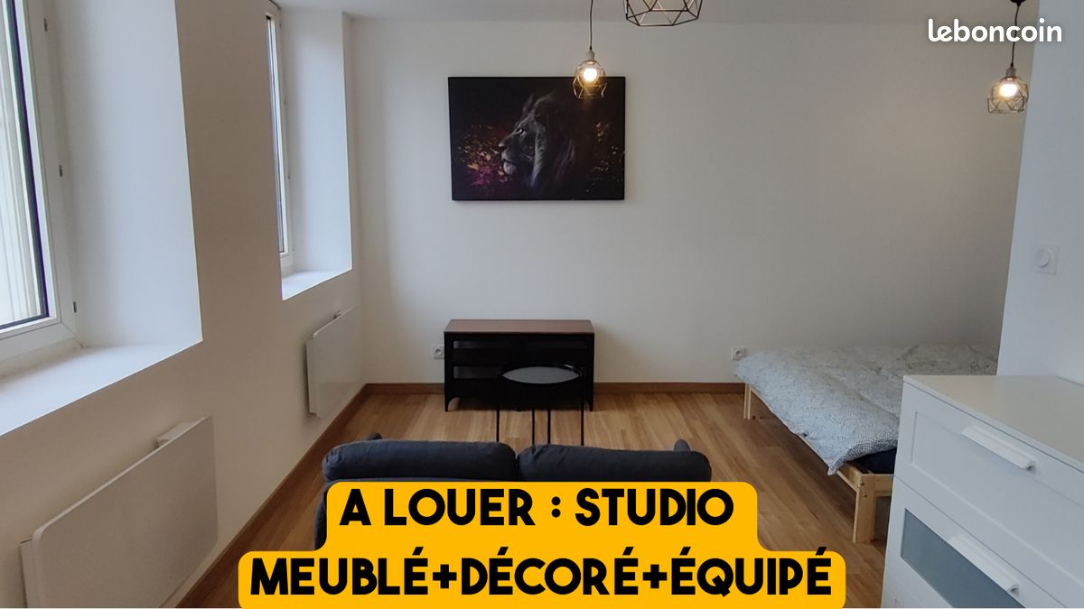 Appartement 1 pièce 25 m² · à Rive-de-Gier · 25 m² · 450 €
