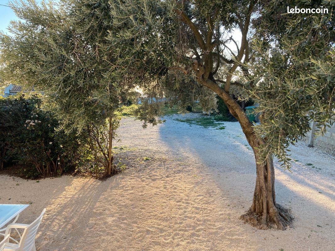 Maison de vacances pour 4 pers Chateauneuf du pape (image 2)