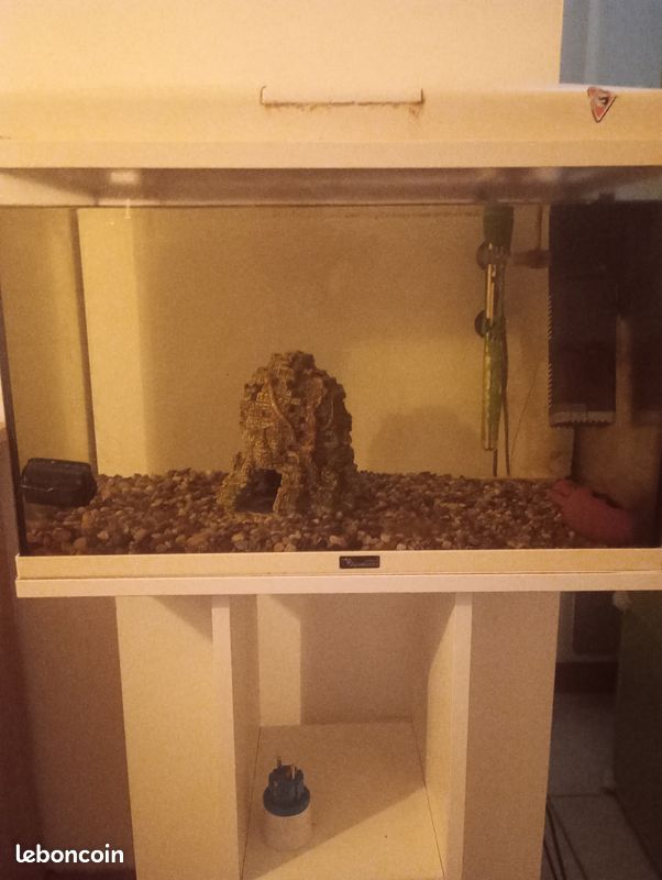 Aquarium poisson (image 1)