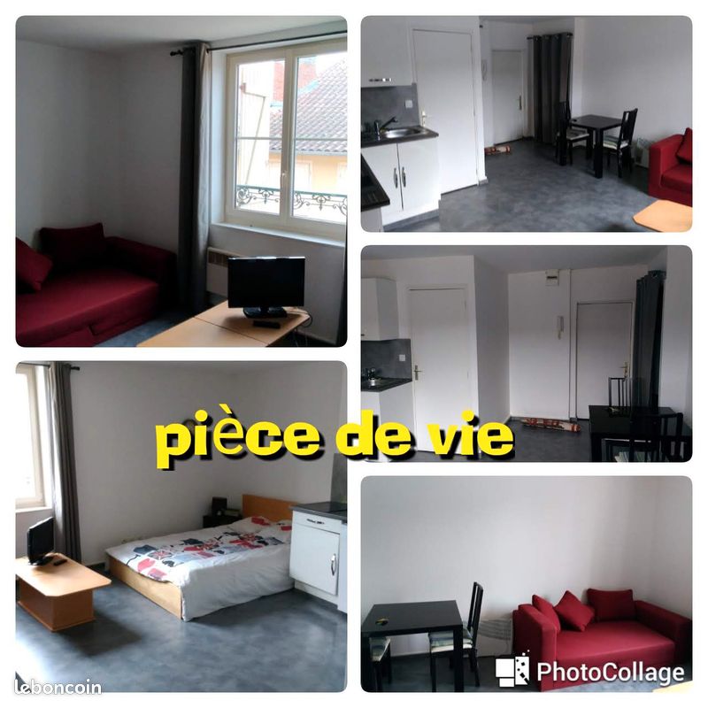 Studio hypercentreville mairie place des bancs IAE Gay-Lussac - Limoges 87000 Centre-Hôtel de Ville Emailleurs (image principale 1)