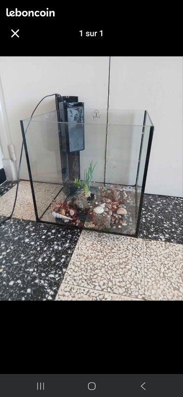 Aquarium (image 1)