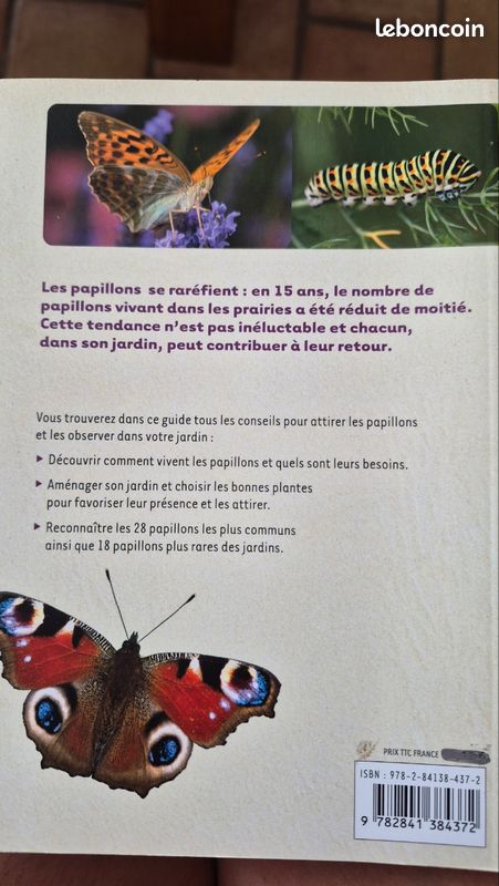 Aménager un jardin pour les papillons (image 2)