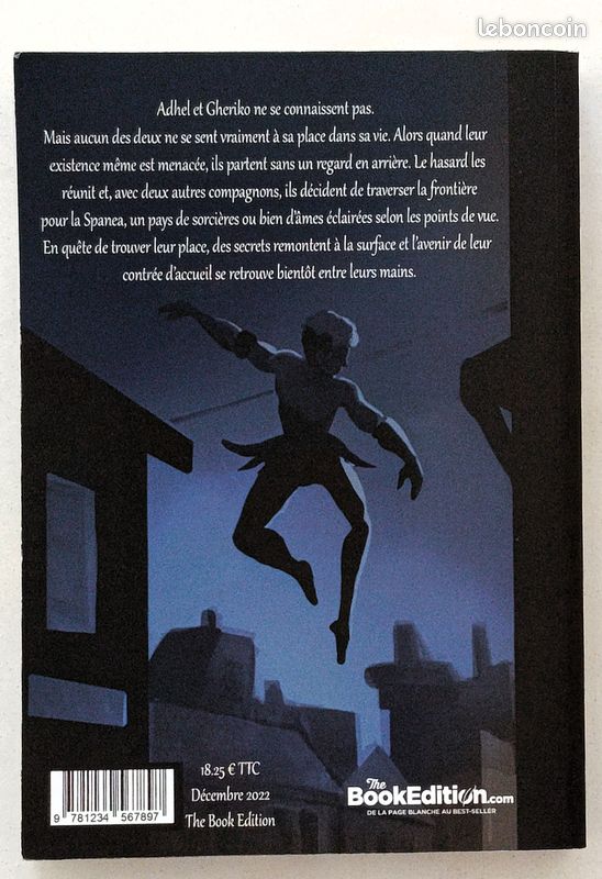 Livre "les étoiles secrètes" de Julia El Puma en très bon état (image 2)