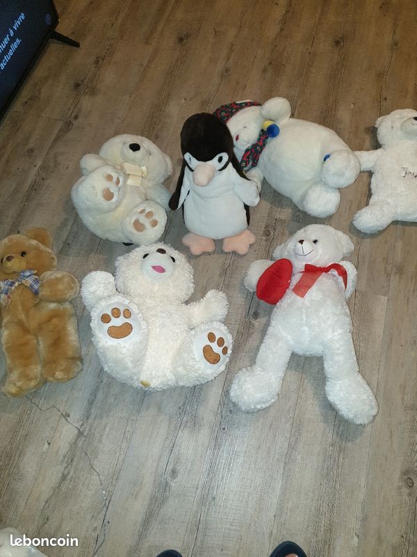 Des ours (image 1)