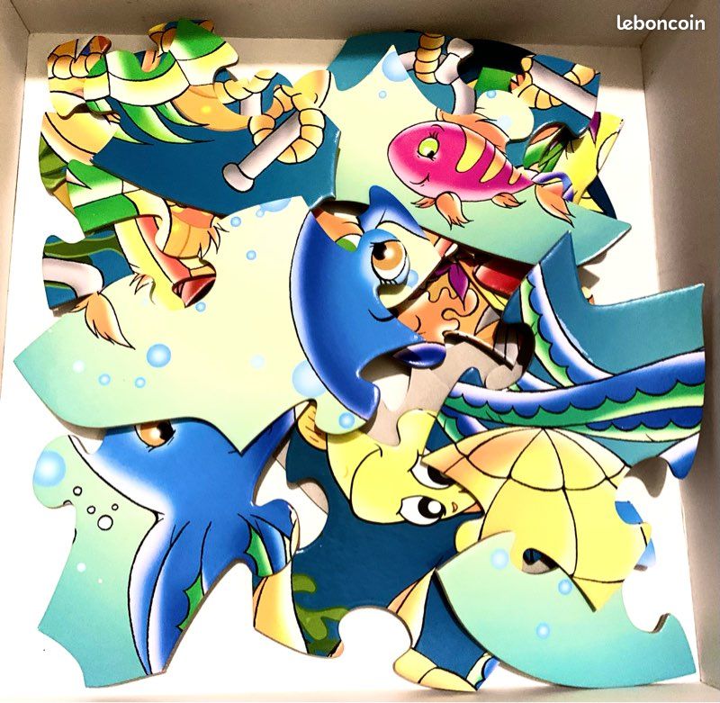 Puzzle de sol (image 2)