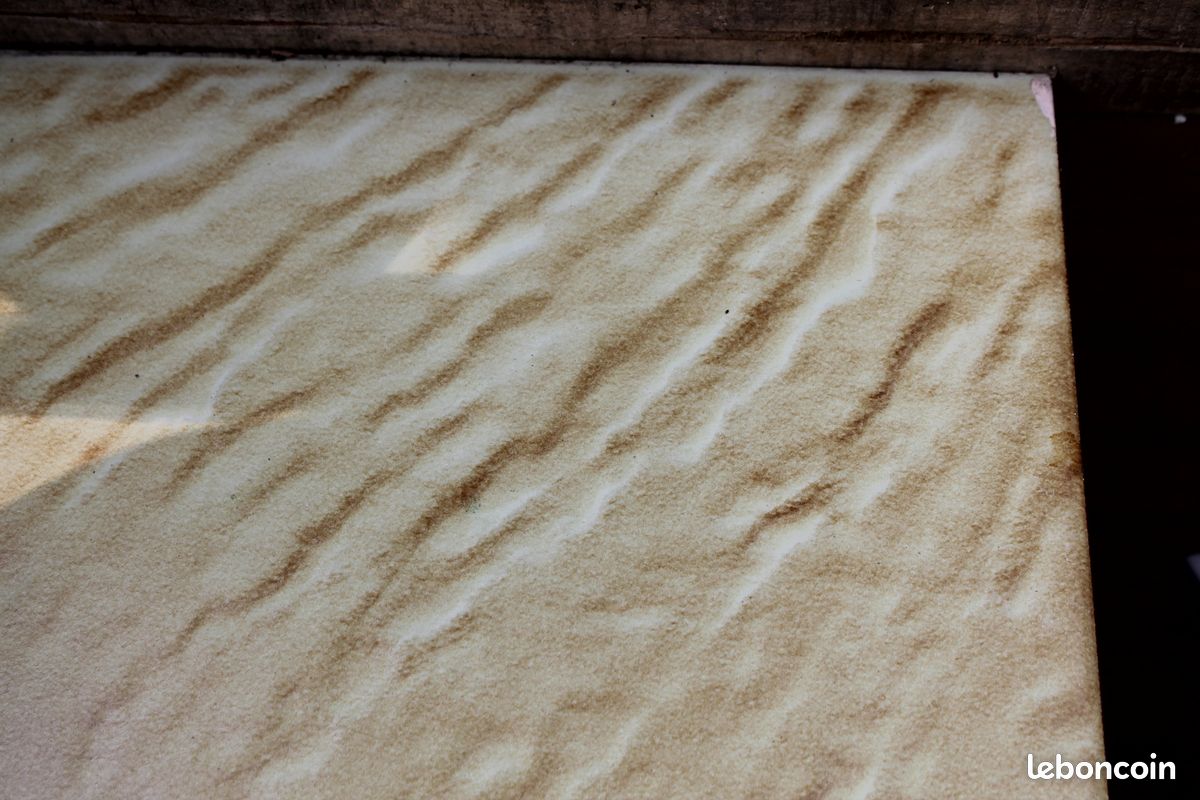 Carrelage sol 31,2 x 22,5 cm (image 2)