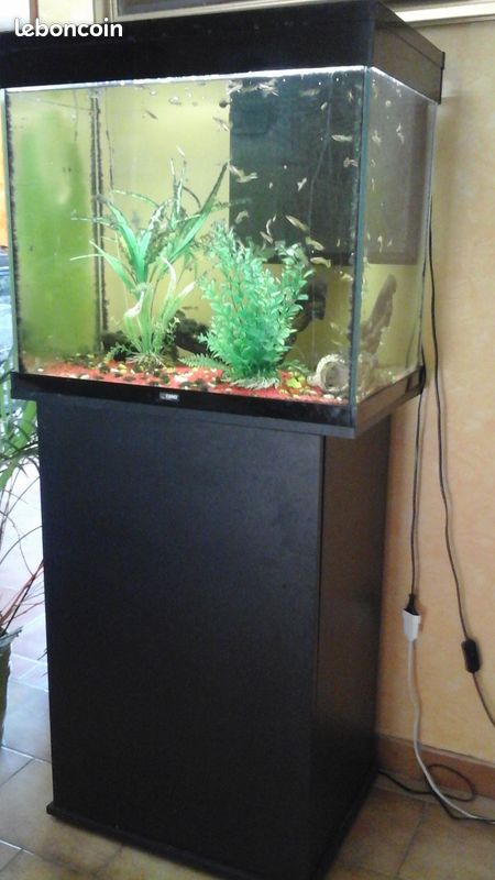 Aquarium (image 1)