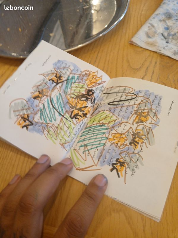 Lot de 10 romans graphiques (image 4)