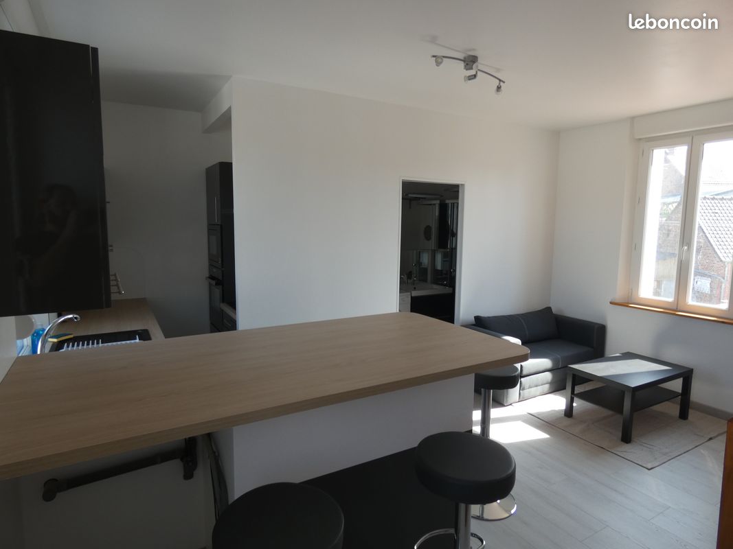 Appartement T2 duplex (image 1)