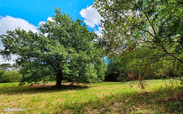 Terrain 1 650 m² Saint Privat En Perigord